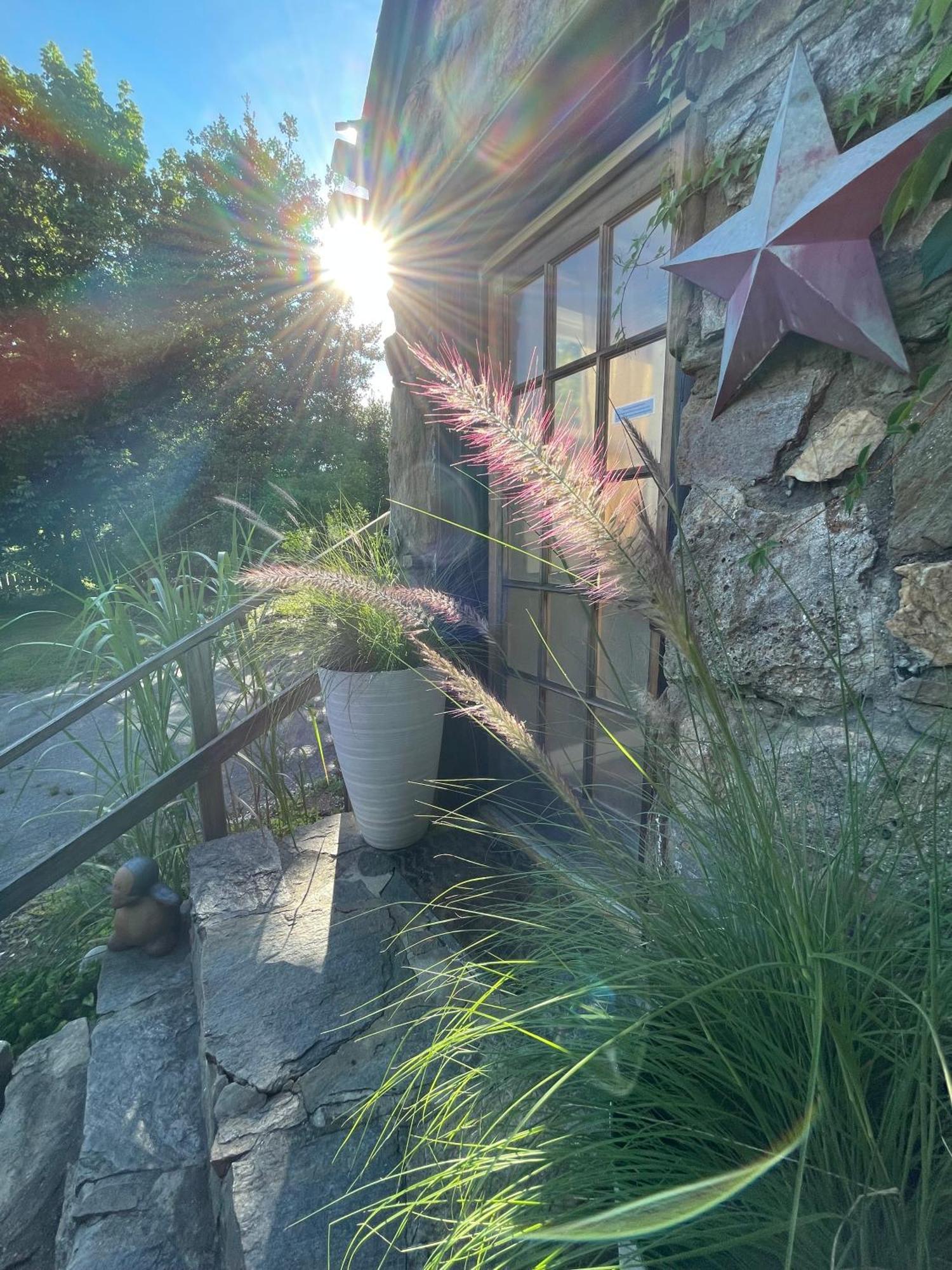 Asheville Urban Farmhouse Entire Home 4 Mi To Dt מראה חיצוני תמונה